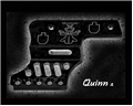 Quinn II C-More Mount
