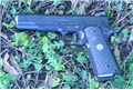Wilson Combat CQB .45 ACP 