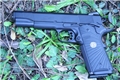 Wilson Combat Tactical Elite .45 ACP