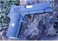 Wilson Combat X-TAC Compact Tritium Sights